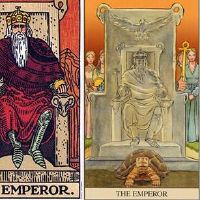 塔塔左右的启示