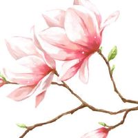 2022年5月5日宜提车上牌吗 农历四月初四是不是吉利日子