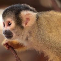 1992年，出生地是