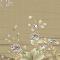 富贵相的男人面相特征 北斗眉多为高寿之人