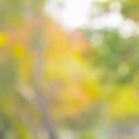 角色是平静和平静的，不会用鼻子的星座拍摄