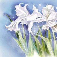 2022年5月13日是什么日子 农历四月十二是提车黄道吉日吗