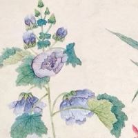 热门特产店名字怎么取 最新版招财店铺起名大全