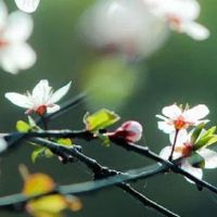 女人农历吉日出生上等命 初十出生家庭美满