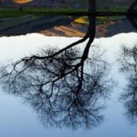 八个字符的水木头的性格是如何工作的？