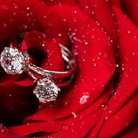 2022年4月27日的月历是吉日的参与者吗？