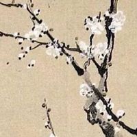 属虎人命中注定的贵人是谁 六合贵人属猪