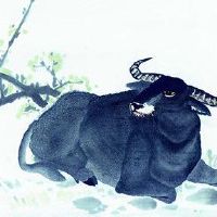 它是一个人要注意2022的重要人物