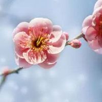 一生最苦的七个生日尾数 初七生人劳苦命