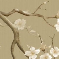 面相看老公穷富 鼻子长得好夫运不错