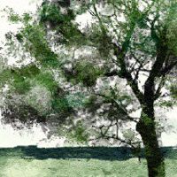 大林木命适合佩戴黄金吗 戴金容易诸事不顺