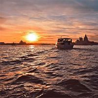 2022年4月17日辛玉米虎去了祖先?