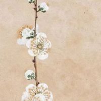 2022年属蛇的重大贵人 属猴人可带来财运