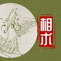 让脸部,脸,女性的脸