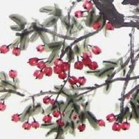 易经数字能量学手机号怎么选 号码选择注意事项