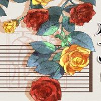 2022 520情绪幸运的黄道带分析