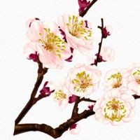 流年夫妻宫看感情状态 流年宫位有红鸾者易结婚