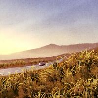 2022年4月，吉义名单，免费分享