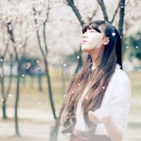 我有大厅，我也有厨房的十二生肖女孩。