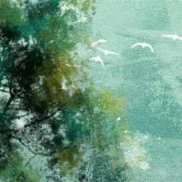 什么八字的人聪明漂亮 八字水多而旺盛水主智慧