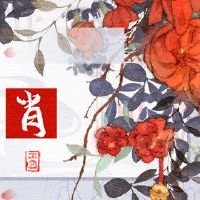 人们有一千天的一天，一岁2023只兔子，兔子，原生父母