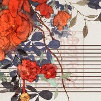 财富在2022年孝感财富开幕