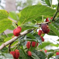 看到我是什么意思？