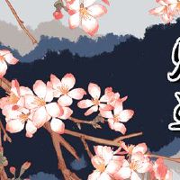 财富定位11月1日，2022年11月1日