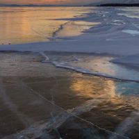 今年最有效的是什么？