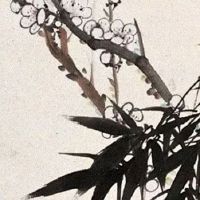 车牌999为什么不要 寓意最好的豹子号码