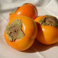 梦峰是什么意思？