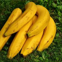 购买香蕉是什么意思？