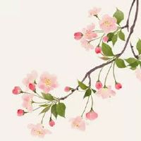 今日穿衣指南:2022年5月16日五行穿衣幸运色