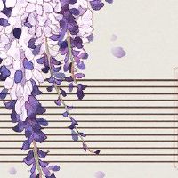 黄道十二次财富每天11月2日，2022年11月2日