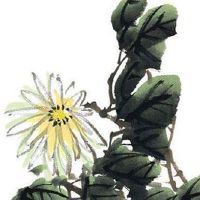 能干大事业的女人面相 颧骨略高工作业绩突出