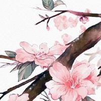 2022年3月8日是黄道吉日吗 现代妇女节过节方式