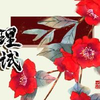 情绪化测试哪个季节出现了最受欢迎的桃花？