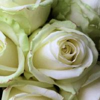 女儿出嫁妈妈送什么礼物好 母亲自制的嫁衣承载母女情