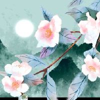 2023年2月，黄岛吉日本查询本月询问清单是一个优秀的日期。