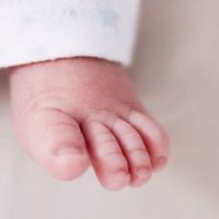 2022虎年大富大贵男孩名字 虎年最佳宝宝取名宜用字分享