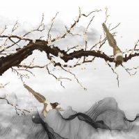 1986年虎女2022劫数 有岁驾吉星保护辟邪