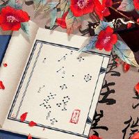 天良大运会特色，吉安花了