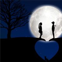 羊和猪男人怎么样？