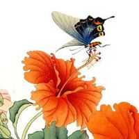 容易出学霸的日柱 甲木日柱的人脑筋灵敏