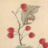 水果蔬菜配送公司取名 最旺运的企业起名大全