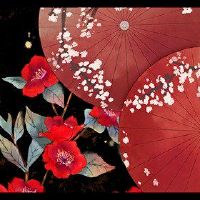 2023年4月，最美丽的黄岛吉义日Query