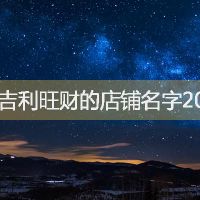最吉利旺财的店铺名字2022