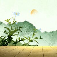 2022年，清明，哪一天，哪一天，在那里？