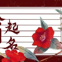 该公司名称为单词的名称“