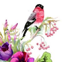 本命年属虎可以结婚吗 本命年结婚有什么讲究